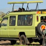 Gishwati Rooftop Tent Hire: 4x4 Manual for Forest Trips