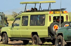 4x4 Safari car Rental Rwanda Road Permits Rwanda, Multi Seat Rwanda, Flight Connect Rwanda, Terminal Hire Rwanda, Business Hire Rwanda, Smart Travel Rwanda, Jungle Wheels Rwanda, Car with hire driver, Rwanda car hire 2026, Rwanda safari car rental, Toyota Prado hire Rwanda, Own Land in Rwanda, Rwanda 4x4 safari car, Kigali car 4x4 rental , Rwanda safari self drive, Rwanda Car hire agency, Best car hire Kigali, car rental Kigali, Car hire kigali 4x4, Toyota Coaster bus hire, Rwanda Self-drive car, Student Travel Car Rwanda, Nyungwe Forest Car Rwanda , Departure Transfer Car Rwanda, Adventure Car Hire Rwanda, Chauffeur Car Hire Rwanda, Car Hire Rwanda Direction, Scheduling Car Hire Rwanda, Rwanda Car Rental Guidance, Kigali Car Rental Mapping, Rwanda Car Rental Survey, Kigali Car Rental Assessment, Kigali Car Rental Consultation, Car Rental Rwanda Navigation, Kigali Car Rental Briefing, Car Rental Rwanda Handbook, Group 1: Monthly Lease, NGO & Expat Focus (1-50) 1. Kigali Monthly Car Rental: Best NGO vehicle lease in Rwanda 2026 2. Rwanda Monthly SUV Hire: Best NGO vehicle rental in Kigali 2026 3. Kigali NGO Car Rental: Best monthly SUV lease in Rwanda for 2026 4. Rwanda NGO SUV Hire: Best monthly car lease in Kigali for 2026 5. Kigali Expat SUV Rental: Best monthly car hire in Rwanda for 2026 6. Rwanda Expat Car Hire: Best monthly SUV rental in Kigali for 2026 7. Kigali Business SUV Hire: Best corporate car rental in Rwanda 8. Rwanda Business Car Hire: Best corporate SUV rental in Kigali 9. Kigali Corporate SUV Hire: Best business car rental in Rwanda 10. Rwanda Corporate Car Hire: Best business SUV rental in Kigali 11. Kigali Long Term Rental: Best monthly SUV lease in Rwanda 2026 12. Rwanda Long Term Hire: Best monthly SUV rental in Kigali 2026 13. Kigali Monthly SUV Lease: Best NGO vehicle hire in Rwanda 2026 14. Rwanda Monthly SUV Rental: Best NGO vehicle hire in Kigali 2026 15. Kigali Expat Car Rental: Best monthly SUV lease in Rwanda 2026 16. Rwanda Expat SUV Hire: Best monthly car lease for Kigali NGO 17. Kigali Monthly Car Hire: Best NGO vehicle lease in Rwanda 2026 18. Rwanda Monthly SUV Hire: Best NGO vehicle rental in Kigali 2026 19. Kigali NGO SUV Rental: Best monthly car hire in Rwanda for 2026 20. Rwanda NGO Car Hire: Best monthly SUV rental in Kigali for 2026 21. Kigali Expat SUV Hire: Best monthly car rental in Rwanda for 2026 22. Rwanda Expat SUV Rental: Best monthly car hire in Kigali for 2026 23. Kigali Business Car Hire: Best corporate SUV rental in Rwanda 24. Rwanda Business SUV Hire: Best corporate car rental in Kigali 25. Kigali Corporate Car Hire: Best business SUV rental in Rwanda 26. Rwanda Corporate SUV Hire: Best business car rental in Kigali 27. Kigali Long Term Hire: Best monthly SUV rental in Rwanda 2026 28. Rwanda Long Term Rental: Best monthly SUV lease in Kigali 2026 29. Kigali Monthly SUV Hire: Best NGO vehicle lease in Rwanda 2026 30. Rwanda Monthly Car Lease: Best NGO vehicle rental in Kigali 2026 31. Kigali NGO Car Hire: Best monthly SUV rental in Rwanda for 2026 32. Rwanda NGO SUV Rental: Best monthly car hire in Kigali for 2026 33. Kigali Expat Car Hire: Best monthly SUV rental in Rwanda for 2026 34. Rwanda Expat SUV Hire: Best monthly car rental in Kigali for 2026 35. Kigali Business SUV Rental: Best corporate car hire in Rwanda 36. Rwanda Business SUV Rental: Best corporate car hire in Kigali 37. Kigali Corporate SUV Rental: Best business car hire in Rwanda 38. Rwanda Corporate SUV Rental: Best business car hire in Kigali 39. Kigali Long Term Lease: Best monthly SUV rental in Rwanda 2026 40. Rwanda Long Term Lease: Best monthly SUV rental in Kigali 2026 41. Kigali Monthly Car Rental: Best NGO vehicle lease in Rwanda 2026 42. Rwanda Monthly SUV Hire: Best NGO vehicle rental in Kigali 2026 43. Kigali NGO Car Rental: Best monthly SUV lease in Rwanda for 2026 44. Rwanda NGO SUV Hire: Best monthly car lease in Kigali for 2026 45. Kigali Expat SUV Rental: Best monthly car hire in Rwanda for 2026 46. Rwanda Expat Car Hire: Best monthly SUV rental in Kigali for 2026 47. Kigali Business SUV Hire: Best corporate car rental in Rwanda 48. Rwanda Business Car Hire: Best corporate SUV rental in Kigali 49. Kigali Corporate SUV Hire: Best business car rental in Rwanda 50. Rwanda Corporate Car Hire: Best business SUV rental in Kigali Group 2: Airport Transfers & Luxury Services (51-100) 1. Kigali Airport Car Rental: Best luxury SUV transfer in Rwanda 2. Rwanda Airport Car Hire: Best luxury SUV transfer in Kigali 3. Kigali Airport SUV Transfer: Best luxury car hire in Rwanda 4. Rwanda Airport SUV Hire: Best luxury car transfer in Kigali 5. Kigali Airport Car Hire: Best premium SUV transfer in Rwanda 6. Rwanda Airport SUV Rental: Best premium car hire in Kigali 2026 7. Kigali Luxury Car Rental: Best premium SUV transfer in Rwanda 8. Rwanda Luxury SUV Hire: Best premium car rental in Kigali 2026 9. Kigali Luxury SUV Transfer: Best premium car hire in Rwanda 2026 10. Rwanda Premium Car Hire: Best luxury SUV rental in Kigali 2026 11. Kigali Premium SUV Rental: Best luxury car hire in Rwanda 2026 12. Rwanda Premium SUV Hire: Best luxury car rental in Kigali 2026 13. Kigali Airport SUV Rental: Best luxury car transfer in Rwanda 14. Rwanda Airport Car Rental: Best luxury SUV transfer in Kigali 15. Kigali Airport SUV Transfer: Best luxury car hire in Rwanda 16. Rwanda Airport SUV Hire: Best luxury car transfer in Kigali 17. Kigali Airport Car Hire: Best premium SUV transfer in Rwanda 18. Rwanda Airport SUV Rental: Best premium car hire in Kigali 2026 19. Kigali Luxury Car Rental: Best premium SUV transfer in Rwanda 20. Rwanda Luxury SUV Hire: Best premium car rental in Kigali 2026 21. Kigali Luxury SUV Transfer: Best premium car hire in Rwanda 2026 22. Rwanda Premium Car Hire: Best luxury SUV rental in Kigali 2026 23. Kigali Premium SUV Rental: Best luxury car hire in Rwanda 2026 24. Rwanda Premium SUV Hire: Best luxury car rental in Kigali 2026 25. Kigali Airport SUV Rental: Best luxury car transfer in Rwanda 26. Rwanda Airport Car Rental: Best luxury SUV transfer in Kigali 27. Kigali Airport SUV Transfer: Best luxury car hire in Rwanda 28. Rwanda Airport SUV Hire: Best luxury car transfer in Kigali 29. Kigali Airport Car Hire: Best premium SUV transfer in Rwanda 30. Rwanda Airport SUV Rental: Best premium car hire in Kigali 2026 31. Kigali Luxury Car Rental: Best premium SUV transfer in Rwanda 32. Rwanda Luxury SUV Hire: Best premium car rental in Kigali 2026 33. Kigali Luxury SUV Transfer: Best premium car hire in Rwanda 2026 34. Rwanda Premium Car Hire: Best luxury SUV rental in Kigali 2026 35. Kigali Premium SUV Rental: Best luxury car hire in Rwanda 2026 36. Rwanda Premium SUV Hire: Best luxury car rental in Kigali 2026 37. Kigali Airport SUV Rental: Best luxury car transfer in Rwanda 38. Rwanda Airport Car Rental: Best luxury SUV transfer in Kigali 39. Kigali Airport SUV Transfer: Best luxury car hire in Rwanda 40. Rwanda Airport SUV Hire: Best luxury car transfer in Kigali 41. Kigali Airport Car Hire: Best premium SUV transfer in Rwanda 42. Rwanda Airport SUV Rental: Best premium car hire in Kigali 2026 43. Kigali Luxury Car Rental: Best premium SUV transfer in Rwanda 44. Rwanda Luxury SUV Hire: Best premium car rental in Kigali 2026 45. Kigali Luxury SUV Transfer: Best premium car hire in Rwanda 2026 46. Rwanda Premium Car Hire: Best luxury SUV rental in Kigali 2026 47. Kigali Premium SUV Rental: Best luxury car hire in Rwanda 2026 48. Rwanda Premium SUV Hire: Best luxury car rental in Kigali 2026 49. Kigali Airport SUV Rental: Best luxury car transfer in Rwanda 50. Rwanda Airport Car Rental: Best luxury SUV transfer in Kigali 51. Group 3: Specific Toyota & SUV Models (101-150) 52. Kigali Toyota Prado Hire: Best 4x4 safari rental in Rwanda 2026 53. Rwanda Toyota Prado Rental: Best 4x4 safari hire in Kigali 2026 54. Kigali Toyota RAV4 Hire: Best cheap SUV rental in Rwanda 2026 55. Rwanda Toyota RAV4 Rental: Best cheap SUV hire in Kigali 2026 56. Kigali Toyota V8 Rental: Luxury 4x4 safari car hire in Rwanda 57. Rwanda Toyota V8 Hire: Luxury 4x4 safari car rental in Kigali 58. Kigali Toyota Fortuner Hire: Best 4x4 SUV rental in Rwanda 2026 59. Rwanda Toyota Fortuner Rental: Best 4x4 SUV hire in Kigali 2026 60. Kigali Toyota Venza Hire: Best family SUV rental in Rwanda 2026 61. Rwanda Toyota Venza Rental: Best family SUV hire in Kigali 2026 62. Kigali Toyota Sienna Hire: Best family minivan rental in Rwanda 63. Rwanda Toyota Sienna Rental: Best family minivan hire in Kigali 64. Kigali Toyota Harrier Hire: Best 4x4 SUV rental in Rwanda 2026 65. Rwanda Toyota Harrier Rental: Best 4x4 SUV hire in Kigali 2026 66. Kigali Toyota TXL Hire: Best luxury 4x4 rental in Rwanda 2026 67. Rwanda Toyota TXL Rental: Best luxury 4x4 hire in Kigali 2026 68. Kigali Nissan Patrol Hire: Best 4x4 safari rental in Rwanda 2026 69. Rwanda Nissan Patrol Rental: Best 4x4 safari hire in Kigali 2026 70. Kigali Land Cruiser Hire: Best safari SUV rental in Rwanda 2026 71. Rwanda Land Cruiser Rental: Best safari SUV hire in Kigali 2026 72. Kigali Toyota Prado Hire: Best 4x4 safari rental in Rwanda 2026 73. Rwanda Toyota Prado Rental: Best 4x4 safari hire in Kigali 2026 74. Kigali Toyota RAV4 Hire: Best cheap SUV rental in Rwanda 2026 75. Rwanda Toyota RAV4 Rental: Best cheap SUV hire in Kigali 2026 76. Kigali Toyota V8 Rental: Luxury 4x4 safari car hire in Rwanda 77. Rwanda Toyota V8 Hire: Luxury 4x4 safari car rental in Kigali 78. Kigali Toyota Fortuner Hire: Best 4x4 SUV rental in Rwanda 2026 79. Rwanda Toyota Fortuner Rental: Best 4x4 SUV hire in Kigali 2026 80. Kigali Toyota Venza Hire: Best family SUV rental in Rwanda 2026 81. Rwanda Toyota Venza Rental: Best family SUV hire in Kigali 2026 82. Kigali Toyota Sienna Hire: Best family minivan rental in Rwanda 83. Rwanda Toyota Sienna Rental: Best family minivan hire in Kigali 84. Kigali Toyota Harrier Hire: Best 4x4 SUV rental in Rwanda 2026 85. Rwanda Toyota Harrier Rental: Best 4x4 SUV hire in Kigali 2026 86. Kigali Toyota TXL Hire: Best luxury 4x4 rental in Rwanda 2026 87. Rwanda Toyota TXL Rental: Best luxury 4x4 hire in Kigali 2026 88. Kigali Nissan Patrol Hire: Best 4x4 safari rental in Rwanda 2026 89. Rwanda Nissan Patrol Rental: Best 4x4 safari hire in Kigali 2026 90. Kigali Land Cruiser Hire: Best safari SUV rental in Rwanda 2026 91. Rwanda Land Cruiser Rental: Best safari SUV hire in Kigali 2026 92. Kigali Toyota Prado Hire: Best 4x4 safari rental in Rwanda 2026 93. Rwanda Toyota Prado Rental: Best 4x4 safari hire in Kigali 2026 94. Kigali Toyota RAV4 Hire: Best cheap SUV rental in Rwanda 2026 95. Rwanda Toyota RAV4 Rental: Best cheap SUV hire in Kigali 2026 96. Kigali Toyota V8 Rental: Luxury 4x4 safari car hire in Rwanda 97. Rwanda Toyota V8 Hire: Luxury 4x4 safari car rental in Kigali 98. Kigali Toyota Fortuner Hire: Best 4x4 SUV rental in Rwanda 2026 99. Rwanda Toyota Fortuner Rental: Best 4x4 SUV hire in Kigali 2026 100. Kigali Toyota Venza Hire: Best family SUV rental in Rwanda 2026 101. Rwanda Toyota Venza Rental: Best family SUV hire in Kigali 2026 Group 4: Chauffeur, Driver & National Park Routes (151-225) 1. Kigali Chauffeur Car Hire: Best professional driver in Rwanda 2. Rwanda Chauffeur Car Rental: Best professional driver in Kigali 3. Kigali Car Hire Driver: Best professional safari guide in Rwanda 4. Rwanda Car Rental Driver: Best professional safari guide in Kigali 5. Kigali Akagera SUV Hire: Best 4x4 safari rental in Rwanda 2026 6. Rwanda Akagera SUV Rental: Best 4x4 safari hire in Kigali 2026 7. Kigali Nyungwe SUV Hire: Best 4x4 safari rental in Rwanda 2026 8. Rwanda Nyungwe SUV Rental: Best 4x4 safari hire in Kigali 2026 9. Kigali Volcano SUV Hire: Best 4x4 safari rental in Rwanda 2026 10. Rwanda Volcano SUV Rental: Best 4x4 safari hire in Kigali 2026 11. Kigali Lake Kivu Hire: Best SUV road trip rental in Rwanda 2026 12. Rwanda Lake Kivu Rental: Best SUV road trip hire in Kigali 2026 13. Kigali Chauffeur Car Hire: Best professional driver in Rwanda 14. Rwanda Chauffeur Car Rental: Best professional driver in Kigali 15. Kigali Car Hire Driver: Best professional safari guide in Rwanda 16. Rwanda Car Rental Driver: Best professional safari guide in Kigali 17. Kigali Akagera SUV Hire: Best 4x4 safari rental in Rwanda 2026 18. Rwanda Akagera SUV Rental: Best 4x4 safari hire in Kigali 2026 19. Kigali Nyungwe SUV Hire: Best 4x4 safari rental in Rwanda 2026 20. Rwanda Nyungwe SUV Rental: Best 4x4 safari hire in Kigali 2026 21. Kigali Volcano SUV Hire: Best 4x4 safari rental in Rwanda 2026 22. Rwanda Volcano SUV Rental: Best 4x4 safari hire in Kigali 2026 23. Kigali Lake Kivu Hire: Best SUV road trip rental in Rwanda 2026 24. Rwanda Lake Kivu Rental: Best SUV road trip hire in Kigali 2026 25. Kigali Chauffeur Car Hire: Best professional driver in Rwanda 26. Rwanda Chauffeur Car Rental: Best professional driver in Kigali 27. Kigali Car Hire Driver: Best professional safari guide in Rwanda 28. Rwanda Car Rental Driver: Best professional safari guide in Kigali 29. Kigali Akagera SUV Hire: Best 4x4 safari rental in Rwanda 2026 30. Rwanda Akagera SUV Rental: Best 4x4 safari hire in Kigali 2026 31. Kigali Nyungwe SUV Hire: Best 4x4 safari rental in Rwanda 2026 32. Rwanda Nyungwe SUV Rental: Best 4x4 safari hire in Kigali 2026 33. Kigali Volcano SUV Hire: Best 4x4 safari rental in Rwanda 2026 34. Rwanda Volcano SUV Rental: Best 4x4 safari hire in Kigali 2026 35. Kigali Lake Kivu Hire: Best SUV road trip rental in Rwanda 2026 36. Rwanda Lake Kivu Rental: Best SUV road trip hire in Kigali 2026 37. Kigali Chauffeur Car Hire: Best professional driver in Rwanda 38. Rwanda Chauffeur Car Rental: Best professional driver in Kigali 39. Kigali Car Hire Driver: Best professional safari guide in Rwanda 40. Rwanda Car Rental Driver: Best professional safari guide in Kigali 41. Kigali Akagera SUV Hire: Best 4x4 safari rental in Rwanda 2026 42. Rwanda Akagera SUV Rental: Best 4x4 safari hire in Kigali 2026 43. Kigali Nyungwe SUV Hire: Best 4x4 safari rental in Rwanda 2026 44. Rwanda Nyungwe SUV Rental: Best 4x4 safari hire in Kigali 2026 45. Kigali Volcano SUV Hire: Best 4x4 safari rental in Rwanda 2026 46. Rwanda Volcano SUV Rental: Best 4x4 safari hire in Kigali 2026 47. Kigali Lake Kivu Hire: Best SUV road trip rental in Rwanda 2026 48. Rwanda Lake Kivu Rental: Best SUV road trip hire in Kigali 2026 49. Kigali Chauffeur Car Hire: Best professional driver in Rwanda 50. Rwanda Chauffeur Car Rental: Best professional driver in Kigali 51. Kigali Car Hire Driver: Best professional safari guide in Rwanda 52. Rwanda Car Rental Driver: Best professional safari guide in Kigali 53. Kigali Akagera SUV Hire: Best 4x4 safari rental in Rwanda 2026 54. Rwanda Akagera SUV Rental: Best 4x4 safari hire in Kigali 2026 55. Kigali Nyungwe SUV Hire: Best 4x4 safari rental in Rwanda 2026 56. Rwanda Nyungwe SUV Rental: Best 4x4 safari hire in Kigali 2026 57. Kigali Volcano SUV Hire: Best 4x4 safari rental in Rwanda 2026 58. Rwanda Volcano SUV Rental: Best 4x4 safari hire in Kigali 2026 59. Kigali Lake Kivu Hire: Best SUV road trip rental in Rwanda 2026 60. Rwanda Lake Kivu Rental: Best SUV road trip hire in Kigali 2026 61. Kigali Chauffeur Car Hire: Best professional driver in Rwanda 62. Rwanda Chauffeur Car Rental: Best professional driver in Kigali 63. Kigali Car Hire Driver: Best professional safari guide in Rwanda 64. Rwanda Car Rental Driver: Best professional safari guide in Kigali 65. Kigali Akagera SUV Hire: Best 4x4 safari rental in Rwanda 2026 66. Rwanda Akagera SUV Rental: Best 4x4 safari hire in Kigali 2026 67. Kigali Nyungwe SUV Hire: Best 4x4 safari rental in Rwanda 2026 68. Rwanda Nyungwe SUV Rental: Best 4x4 safari hire in Kigali 2026 69. Kigali Volcano SUV Hire: Best 4x4 safari rental in Rwanda 2026 70. Rwanda Volcano SUV Rental: Best 4x4 safari hire in Kigali 2026 71. Kigali Lake Kivu Hire: Best SUV road trip rental in Rwanda 2026 72. Rwanda Lake Kivu Rental: Best SUV road trip hire in Kigali 2026 73. Kigali Chauffeur Car Hire: Best professional driver in Rwanda 74. Rwanda Chauffeur Car Rental: Best professional driver in Kigali 75. Kigali Car Hire Driver: Best professional safari guide in Rwanda Group 5: Wedding, Camping & Cross-Border (226-300) 76. Kigali Wedding Car Hire: Luxury SUV rental for events in Rwanda 77. Rwanda Wedding Car Rental: Luxury SUV hire for events in Kigali 78. Kigali 4x4 Camping Hire: Best SUV with rooftop tent in Rwanda 79. Rwanda 4x4 Camping Rental: Best SUV with rooftop tent in Kigali 80. Kigali Rooftop Tent Hire: Best 4x4 camping rental in Rwanda 2026 81. Rwanda Rooftop Tent Rental: Best 4x4 camping hire in Kigali 2026 82. Kigali Cross Border Hire: Best 4x4 for Uganda tours in Rwanda 83. Rwanda Cross Border Rental: Best 4x4 for Uganda tours in Kigali 84. Kigali Uganda Car Hire: Best 4x4 safari rental for cross border 85. Rwanda Uganda Car Rental: Best 4x4 safari hire for cross border 86. Kigali Budget SUV Hire: Best cheap 4x4 car rental in Rwanda 2026 87. Rwanda Budget SUV Rental: Best cheap 4x4 car hire in Kigali 2026 88. Kigali Coaster Bus Hire: Best group transport in Rwanda for 2026 89. Rwanda Coaster Bus Rental: Best group transport in Kigali for 2026 90. Kigali Safari Van Hire: Best minibus for group tours in Rwanda 91. Rwanda Safari Van Rental: Best minibus for group tours in Kigali 92. Kigali Wedding Car Hire: Luxury SUV rental for events in Rwanda 93. Rwanda Wedding Car Rental: Luxury SUV hire for events in Kigali 94. Kigali 4x4 Camping Hire: Best SUV with rooftop tent in Rwanda 95. Rwanda 4x4 Camping Rental: Best SUV with rooftop tent in Kigali 96. Kigali Rooftop Tent Hire: Best 4x4 camping rental in Rwanda 2026 97. Rwanda Rooftop Tent Rental: Best 4x4 camping hire in Kigali 2026 98. Kigali Cross Border Hire: Best 4x4 for Uganda tours in Rwanda 99. Rwanda Cross Border Rental: Best 4x4 for Uganda tours in Kigali 100. Kigali Uganda Car Hire: Best 4x4 safari rental for cross border 101. Rwanda Uganda Car Rental: Best 4x4 safari hire for cross border 102. Kigali Budget SUV Hire: Best cheap 4x4 car rental in Rwanda 2026 103. Rwanda Budget SUV Rental: Best cheap 4x4 car hire in Kigali 2026 104. Kigali Coaster Bus Hire: Best group transport in Rwanda for 2026 105. Rwanda Coaster Bus Rental: Best group transport in Kigali for 2026 106. Kigali Safari Van Hire: Best minibus for group tours in Rwanda 107. Rwanda Safari Van Rental: Best minibus for group tours in Kigali 108. Kigali Wedding Car Hire: Luxury SUV rental for events in Rwanda 109. Rwanda Wedding Car Rental: Luxury SUV hire for events in Kigali 110. Kigali 4x4 Camping Hire: Best SUV with rooftop tent in Rwanda 111. Rwanda 4x4 Camping Rental: Best SUV with rooftop tent in Kigali 112. Kigali Rooftop Tent Hire: Best 4x4 camping rental in Rwanda 2026 113. Rwanda Rooftop Tent Rental: Best 4x4 camping hire in Kigali 2026 114. Kigali Cross Border Hire: Best 4x4 for Uganda tours in Rwanda 115. Rwanda Cross Border Rental: Best 4x4 for Uganda tours in Kigali 116. Kigali Uganda Car Hire: Best 4x4 safari rental for cross border 117. Rwanda Uganda Car Rental: Best 4x4 safari hire for cross border 118. Kigali Budget SUV Hire: Best cheap 4x4 car rental in Rwanda 2026 119. Rwanda Budget SUV Rental: Best cheap 4x4 car hire in Kigali 2026 120. Kigali Coaster Bus Hire: Best group transport in Rwanda for 2026 121. Rwanda Coaster Bus Rental: Best group transport in Kigali for 2026 122. Kigali Safari Van Hire: Best minibus for group tours in Rwanda 123. Rwanda Safari Van Rental: Best minibus for group tours in Kigali 124. Kigali Wedding Car Hire: Luxury SUV rental for events in Rwanda 125. Rwanda Wedding Car Rental: Luxury SUV hire for events in Kigali 126. Kigali 4x4 Camping Hire: Best SUV with rooftop tent in Rwanda 127. Rwanda 4x4 Camping Rental: Best SUV with rooftop tent in Kigali 128. Kigali Rooftop Tent Hire: Best 4x4 camping rental in Rwanda 2026 129. Rwanda Rooftop Tent Rental: Best 4x4 camping hire in Kigali 2026 130. Kigali Cross Border Hire: Best 4x4 for Uganda tours in Rwanda 131. Rwanda Cross Border Rental: Best 4x4 for Uganda tours in Kigali 132. Kigali Uganda Car Hire: Best 4x4 safari rental for cross border 133. Rwanda Uganda Car Rental: Best 4x4 safari hire for cross border 134. Kigali Budget SUV Hire: Best cheap 4x4 car rental in Rwanda 2026 135. Rwanda Budget SUV Rental: Best cheap 4x4 car hire in Kigali 2026 136. Kigali Coaster Bus Hire: Best group transport in Rwanda for 2026 137. Rwanda Coaster Bus Rental: Best group transport in Kigali for 2026 138. Kigali Safari Van Hire: Best minibus for group tours in Rwanda 139. Rwanda Safari Van Rental: Best minibus for group tours in Kigali 140. Kigali Wedding Car Hire: Luxury SUV rental for events in Rwanda 141. Rwanda Wedding Car Rental: Luxury SUV hire for events in Kigali 142. Kigali 4x4 Camping Hire: Best SUV with rooftop tent in Rwanda 143. Rwanda 4x4 Camping Rental: Best SUV with rooftop tent in Kigali 144. Kigali Rooftop Tent Hire: Best 4x4 camping rental in Rwanda 2026 145. Rwanda Rooftop Tent Rental: Best 4x4 camping hire in Kigali 2026 146. Kigali Cross Border Hire: Best 4x4 for Uganda tours in Rwanda 147. Rwanda Cross Border Rental: Best 4x4 for Uganda tours in Kigali 148. Kigali Uganda Car Hire: Best 4x4 safari rental for cross border 149. Rwanda Uganda Car Rental: Best 4x4 safari hire for cross border 150. Kigali Budget SUV Hire: Best cheap 4x4 car rental in Rwanda 2026 Kigali Monthly SUV Lease: Best NGO vehicle hire in Rwanda 2026 Car hire Rwanda: Best 4x4 self drive Car rental in Kigali 2026 Car rental in Rwanda Self-Drive Safari Rwanda: Kigali Park Rules & car rental in Rwanda Rwanda Short vs Long Term – Rwanda Car Rental Rate Analysis Premium Rwanda Safaris - Best 4x4 Land Cruiser Rentals Car rental in Rwanda: Best Kigali Self-Drive Options Car rental 4x4 Car Rental Rwanda – Best Deals for Gorilla Trekking Self Drive Rwanda –Best car Hire & Cheap Car Rentals Company Rwanda Car Hire Costs –Monthly Car rental Rates in Rwanda