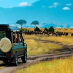 Rwanda Scenic Drives: Routes Every Road Tripper Should