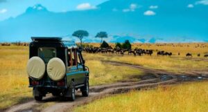 Rwanda Scenic Drives: